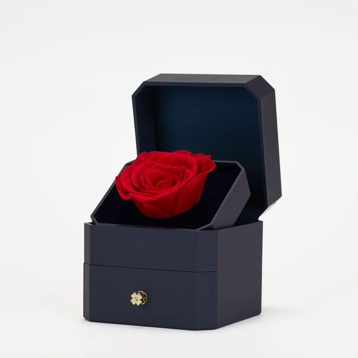 Luxurious Jewelry Box With Eternal Rose + Magnetic Four Heart Necklace